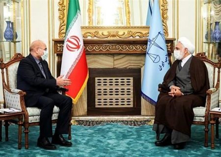 محمد باقر قالیباف رئیس مجلس شورای اسلامی با حجت‌الاسلام والمسلمین محسنی اژه ای، رئیس قوه قضائیه دیدار کرد